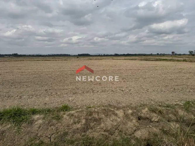 Fazenda em Vgv- Estimado Em Hum Bilhão de Reaisfilé de Areade Empreendedorismo Turistico E