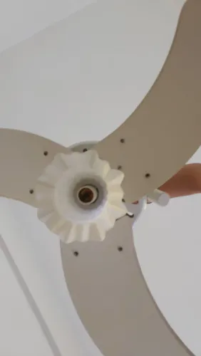 Ventilado de teto