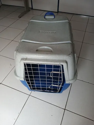 Casinha de Pet e caixa de transporte