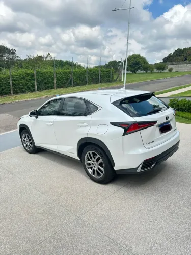 Lexus NX-300 H Dynamic 2.5 16V Aut. 2020