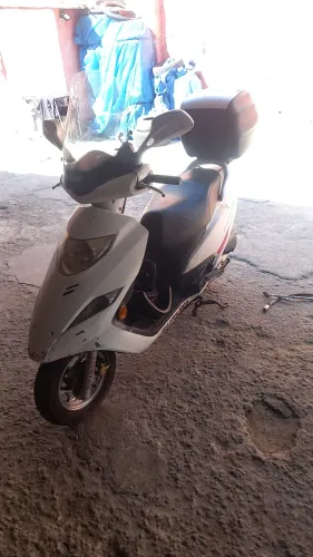 Burgman 2014