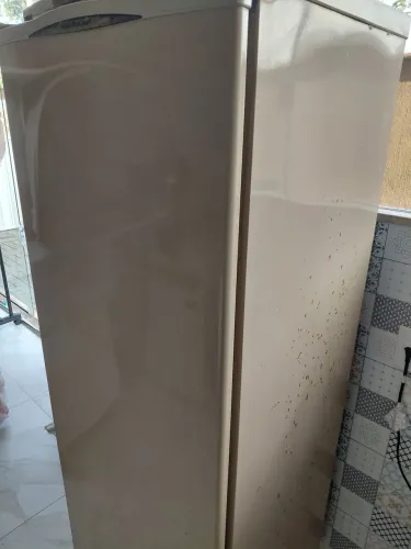Freezer frosfree vertical 