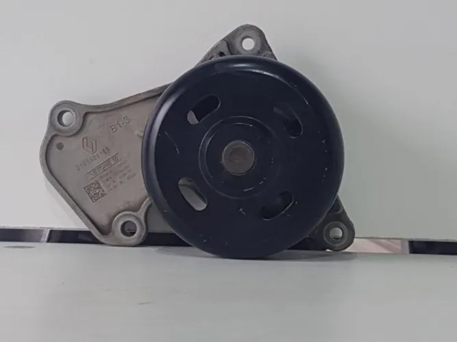 Bomba De Agua Kwid Sandero Logan 1.0 12v 3C 01