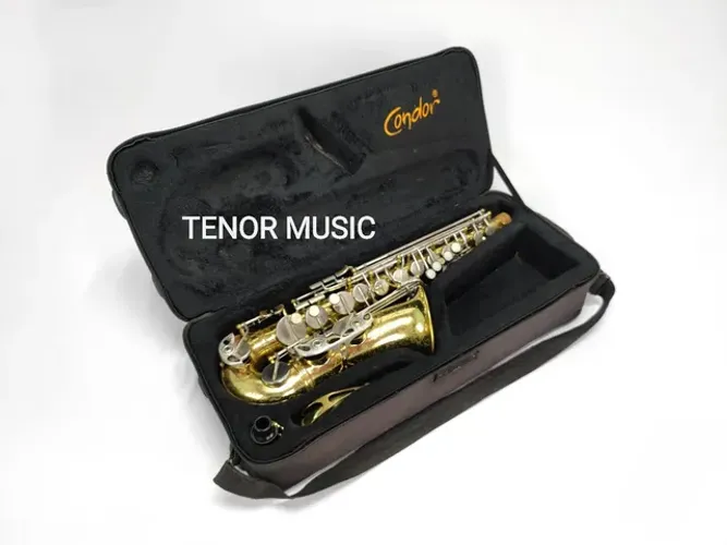 Sax Alto Weril Master Usado e Revisado 