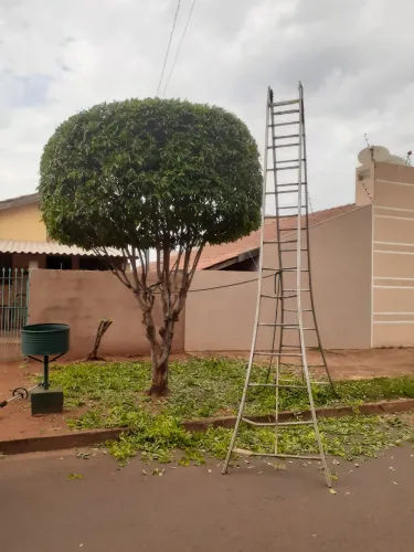 Jardineiro