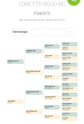 Cavalo Quarto de Milha