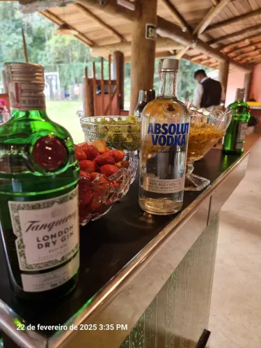 Barman/Bar/Bartender *festa em geral*