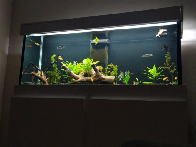 aquário com móvel moderno
