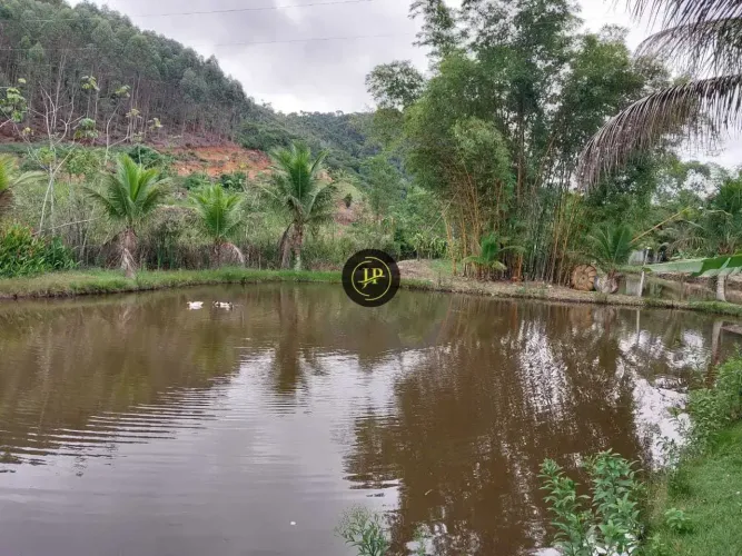 Sitio com 3,5 hectares com plantações em Santa Leopoldina