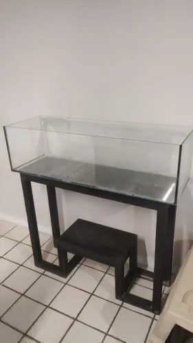 Vendo aquário com móvel 
