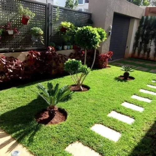 Jardineiro em taquatinga 