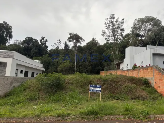 Terreno para venda-Bairro São Luiz-Pato Branco-PR- - TE1363
