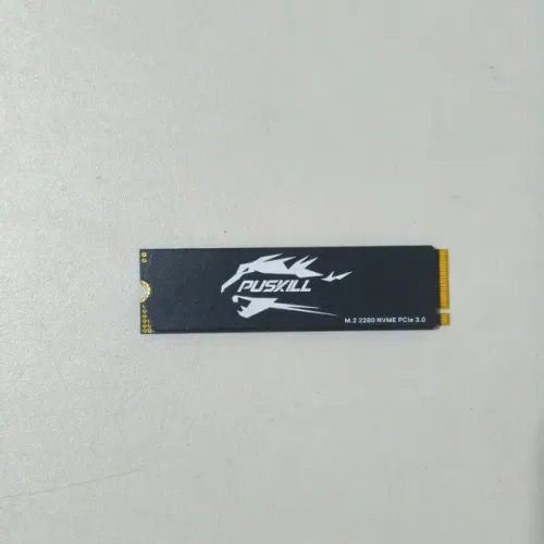 SSD NVMe Puskill 1TB