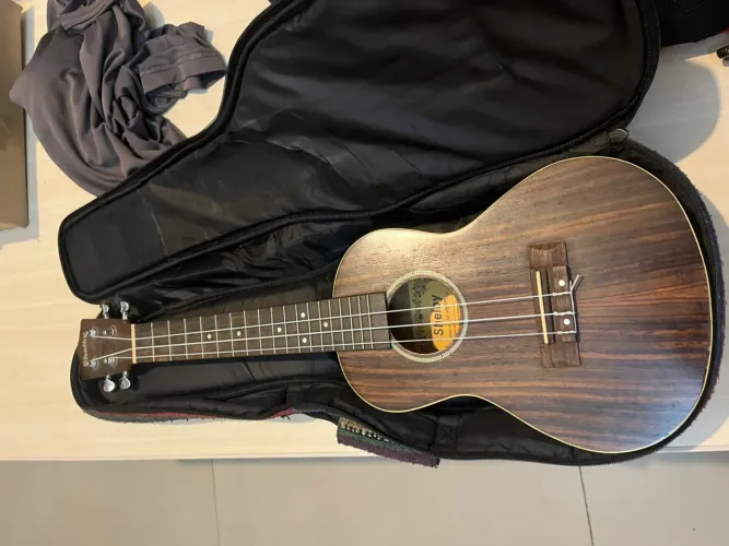 Ukulele Shelby Elétrico acompanha Capa