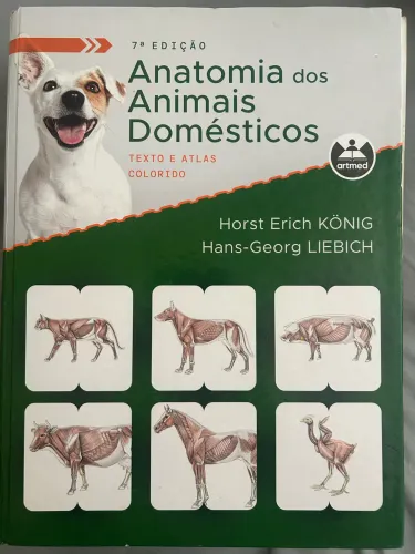 König Anatomia dos Animais Domésticos 7ª Ed.