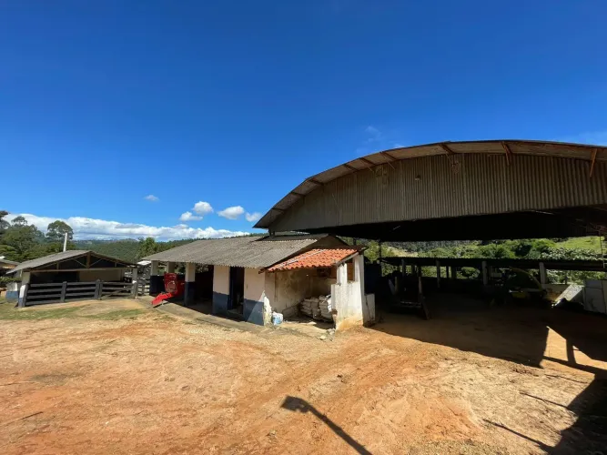 Fazenda com 156 alqueires em lagoinha Sp