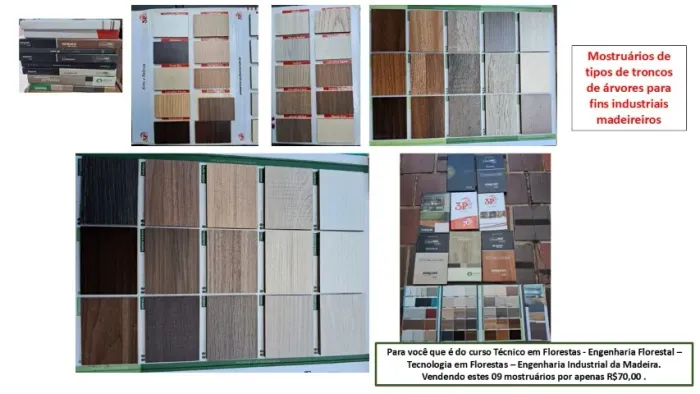 Amostras de tipos de árvores
