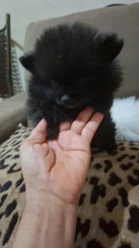 Que lindos presentes para seus filhos ?