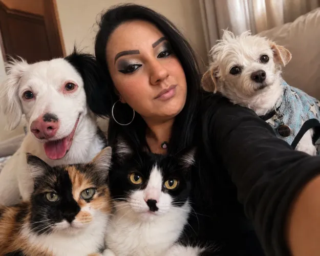 Pet Sitter