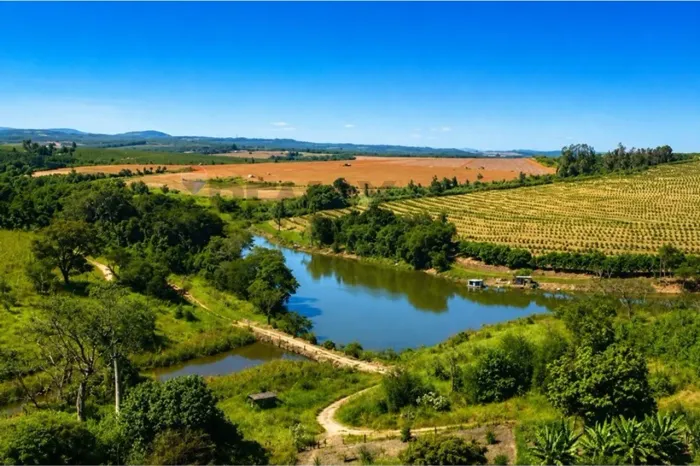 Fazenda à Venda em Mogi Guaçu/SP | 265 ha | Eucalipto | Renda Imediata