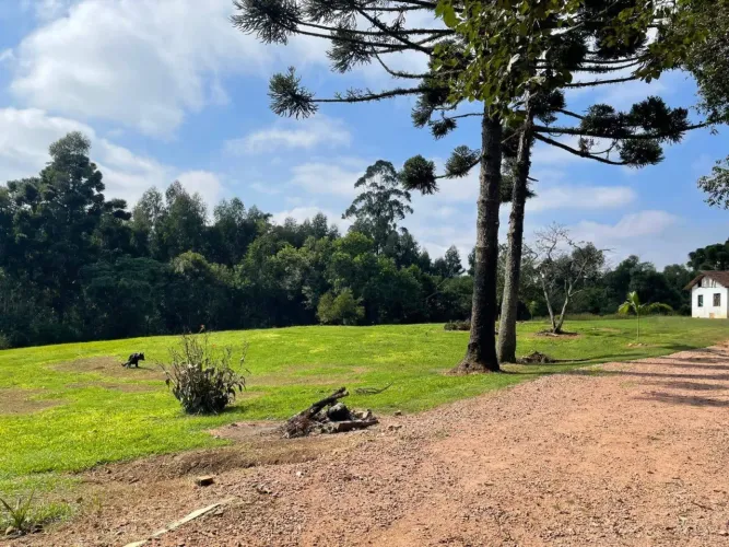 Sítio à venda Catanduva de Fora, Carambeí - PR
