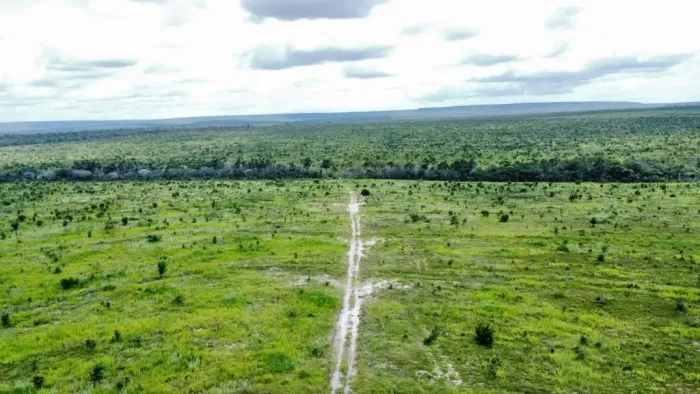 Fazenda á venda no sul do Maranhão, 1.500 hectares ideais para pivôs, pecuária e lavoura!