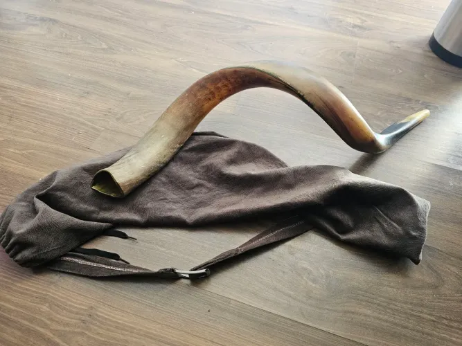Shofar israel 
