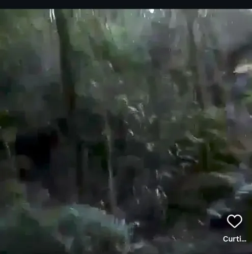 Chácara para plantação em quitandinha