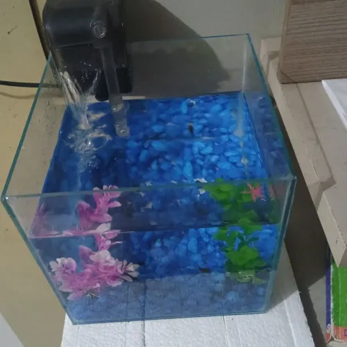 Vendo aquário 