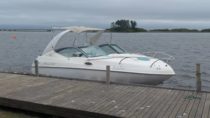 Lancha Millenium 240 2013 - Mercury 150hp, 376h, revisada, com carreta