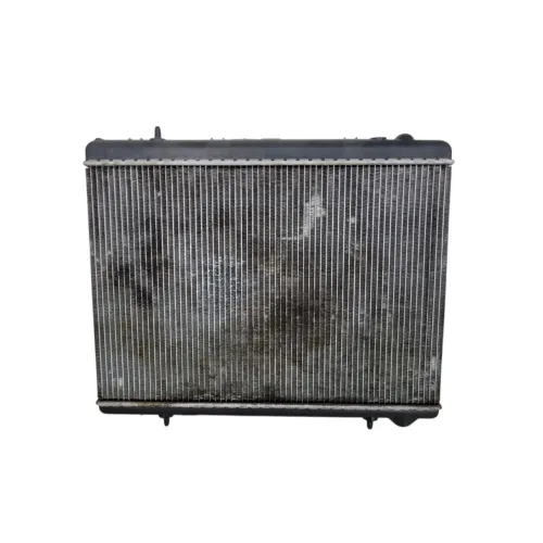 Radiador Peugeot 307 2009 C/detalhe