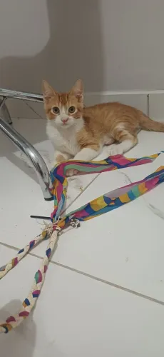 Tony 4 meses de pura fofura