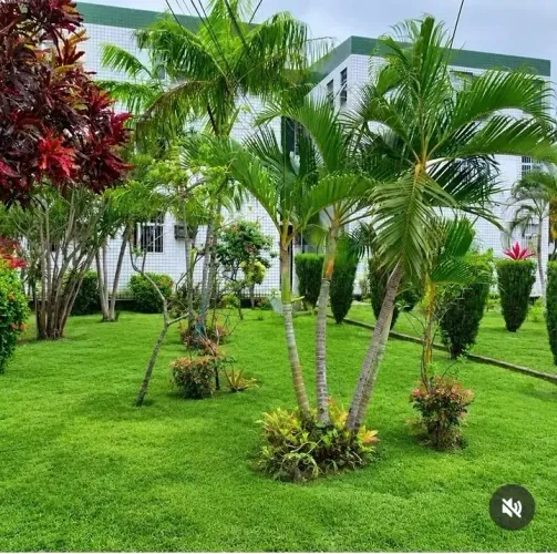 Vendo apartamento no colinas de neopolis