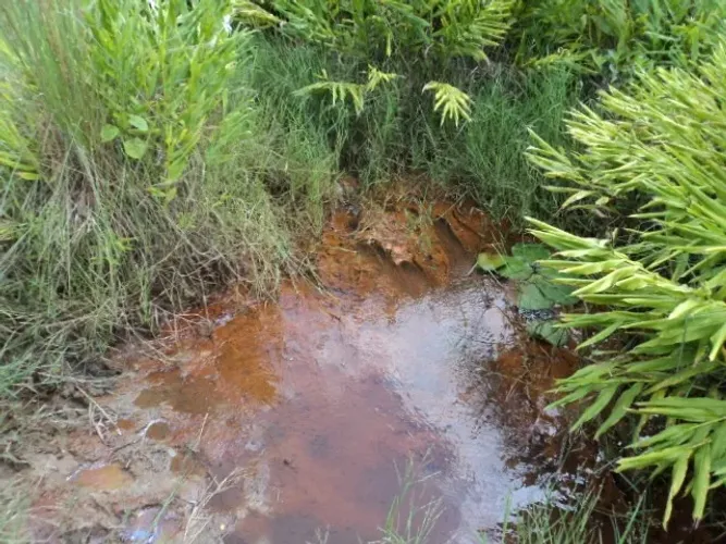 Pará de Minas - Fazendinha - 23.300 mº - Só R$ 10.000,00 de entrada - Oportunidade Única
