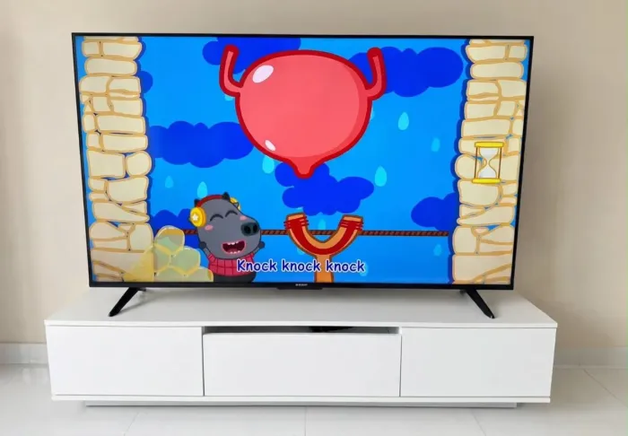 Televisão
