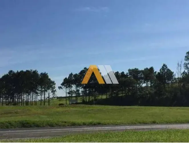 Area com 10.900 M² Rodovia castelo Branco