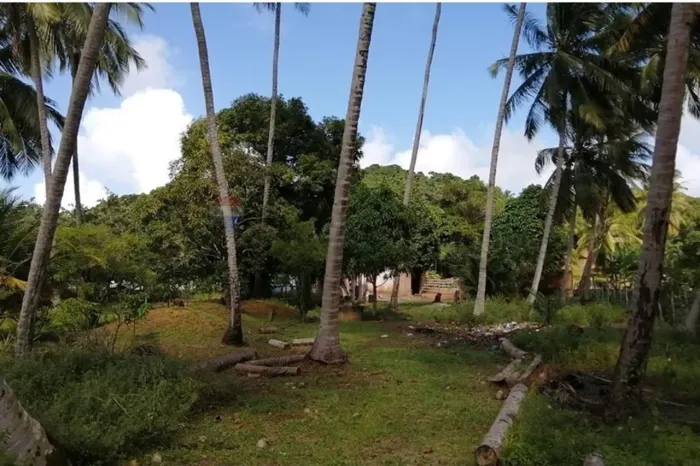 "Terreno desocupado em Barreiras, Coruripe, AL"