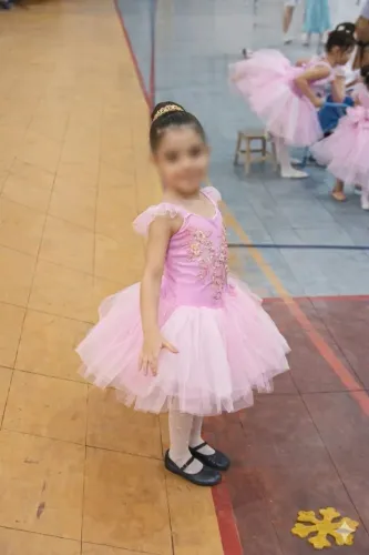 fantasia bailarina luxo infantil rosa - tutu com bordado e pedraria
