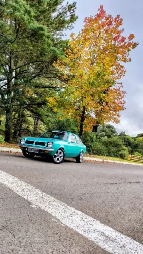 Chevrolet Chevette L / SL / Sl/e / DL / SE 1.6 1979