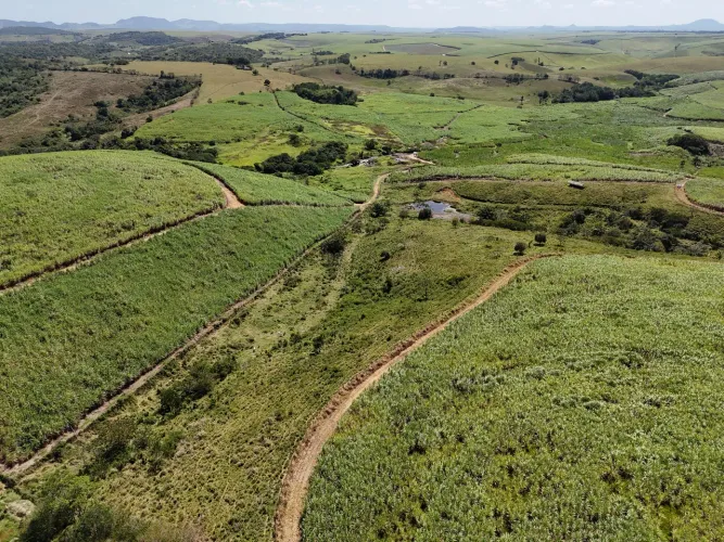 Terra de 20 tarefas em Atalaia-AL