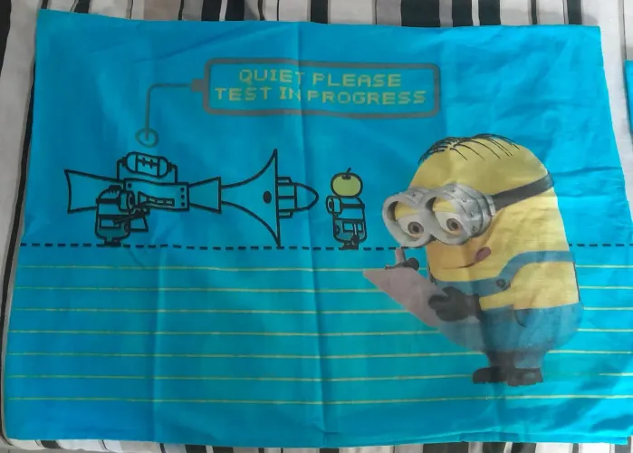 Par de fronhas Minions