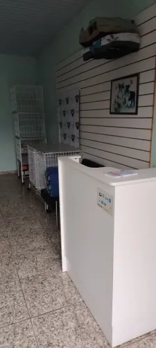 Passo ponto banho e tosa em Cambé .