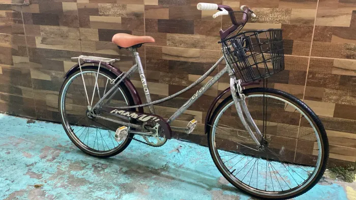 Bicicleta Caloi Ceci? Aro 26