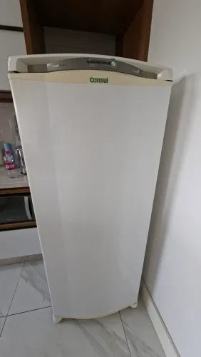 Geladeira Consul Facilite 300L Frost Free