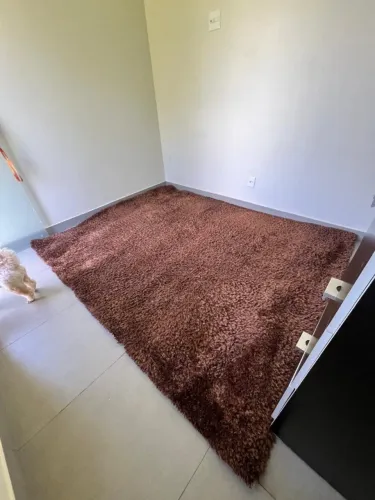 Tapete pra sala peludo Grande