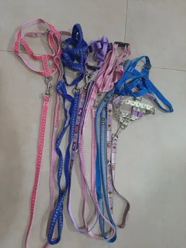 3 kit coleiras e guias tam pp ou p