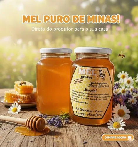 Mel de Abelha Puro e Natural - Direto de Minas Gerais