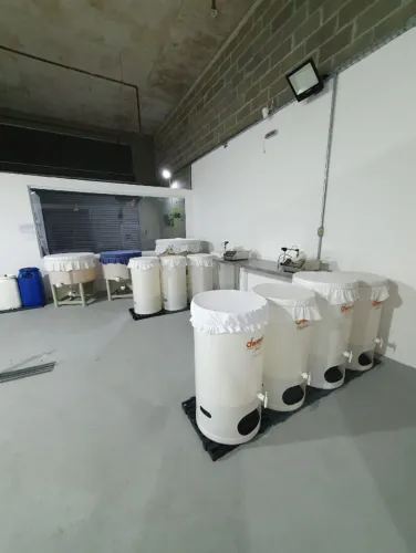 Tanque Saborizador Kombucha