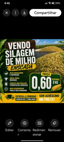 Enda de silagem ensacada