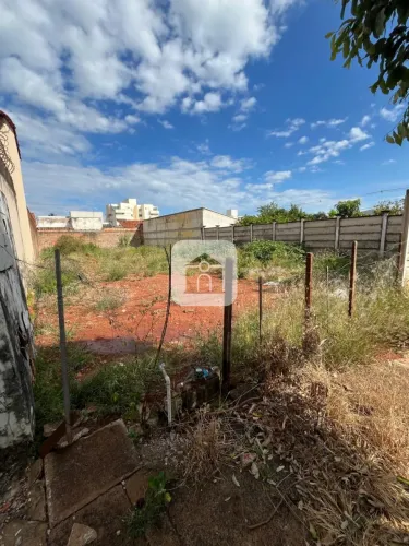 Terreno Para Venda No Bairro Santa Mônica